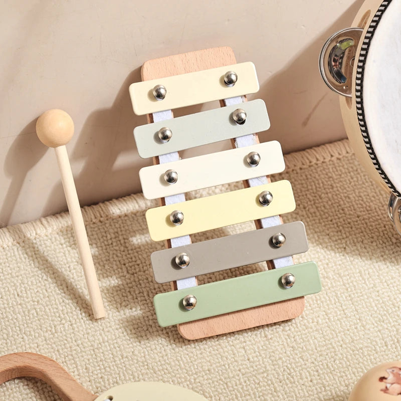 Instrumentos Musicais -  Squirrel Band