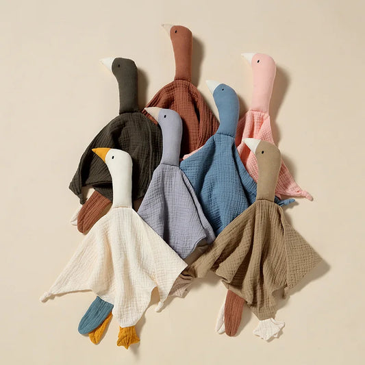 Doudou Cisne